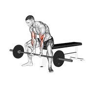 barbell seated close-grip concentration curl animación