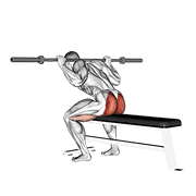 barbell seated good morning animación