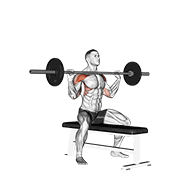 barbell seated overhead press animación