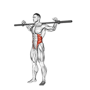 barbell side bent v. 2 animación
