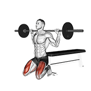barbell squat (on knees) animación