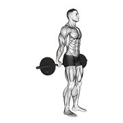 barbell standing back wrist curl animación