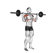 barbell standing bradford press animación