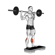 barbell standing leg calf raise animación