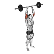 barbell standing overhead triceps extension animación