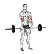 barbell standing reverse grip curl animación