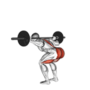 barbell stiff leg good morning animación