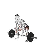 barbell sumo deadlift animación