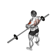 barbell upright row v. 2 animación