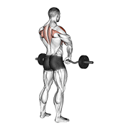 barbell upright row animación