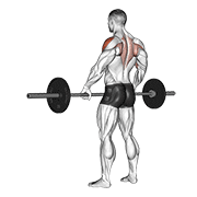 barbell wide-grip upright row animación