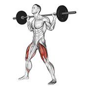 barbell wide squat animación