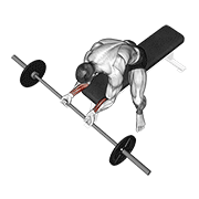 barbell wrist curl animación