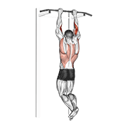 biceps pull-up animación