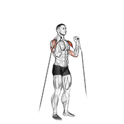 cable alternate shoulder press animación
