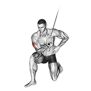 cable concentration extension (on knee) animación
