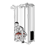 cable deadlift animación
