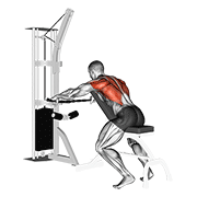 cable decline seated wide-grip row animación