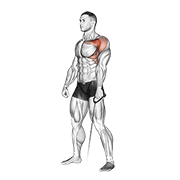cable forward raise animación
