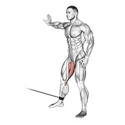 cable hip adduction animación