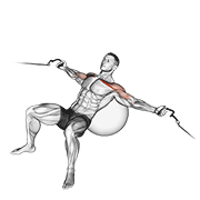 cable incline fly (on stability ball) animación
