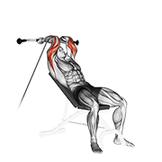 cable incline triceps extension animación