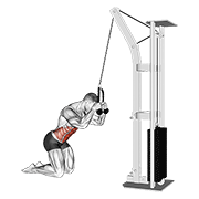 cable kneeling crunch animación
