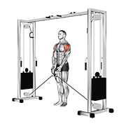 cable lateral raise animación