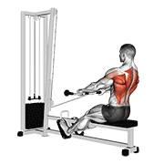 cable low seated row animación