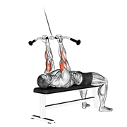 cable lying close-grip curl animación