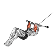 cable lying triceps extension v. 2 animación