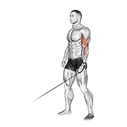cable one arm curl animación