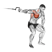 cable one arm lateral bent-over animación