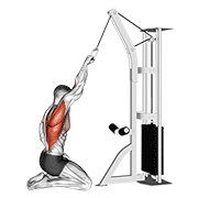 cable one arm straight back high row (kneeling) animación