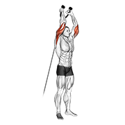 cable overhead triceps extension (rope attachment) animación