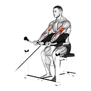 cable preacher curl animación
