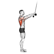 cable pushdown (straight arm) v. 2 animación
