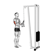 cable pushdown (with rope attachment) animación