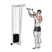 cable rear delt row (with rope) animación