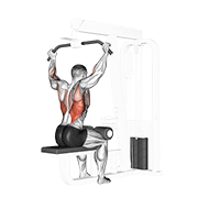 cable rear pulldown animación