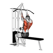 cable reverse-grip straight back seated high row animación