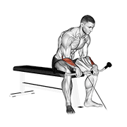 cable reverse wrist curl animación