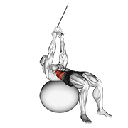 cable russian twists (on stability ball) animación