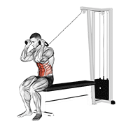 cable seated crunch animación
