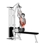 cable seated high row (v-bar) animación