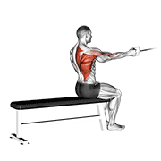 cable seated one arm alternate row animación
