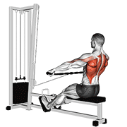 cable seated wide-grip row animación