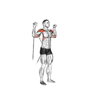 cable shoulder press animación
