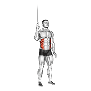 cable side crunch animación