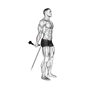 cable standing back wrist curl animación